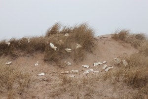 o%cc%88versikt-sandha%cc%88ll-kopia-2