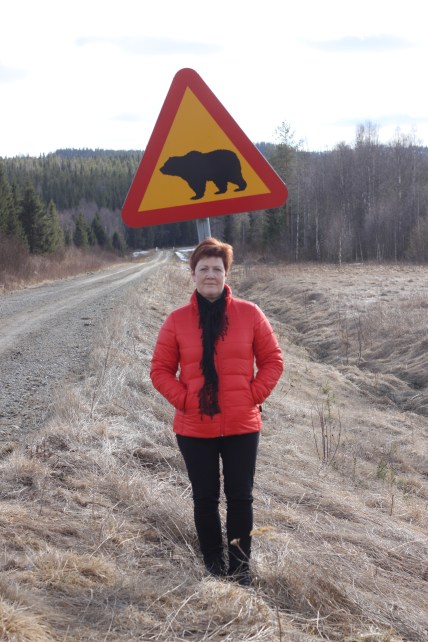 varning-fo%cc%88r-bjo%cc%88rn