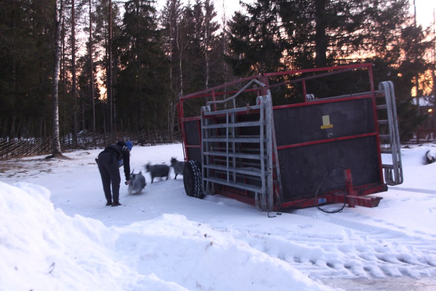 getter-till-ga%cc%8arden