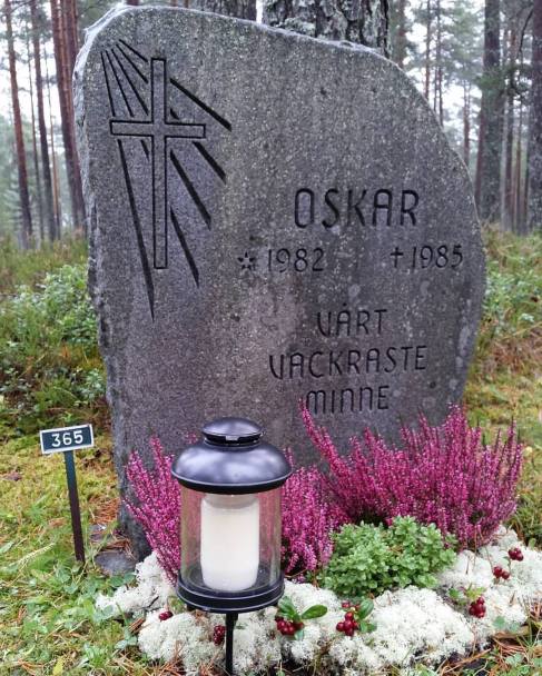 22499223_1401113519997986_4091584605144726717_o