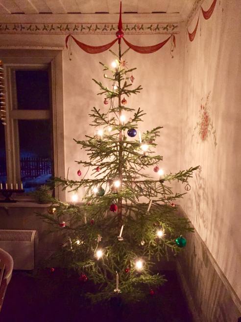 25674837_10214560938754173_1573580546_o