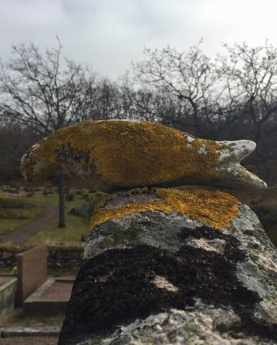 30073173_10155733822563650_2204190186130913540_o