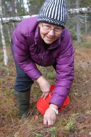 12314725_10153400416643650_3145673688958236504_o