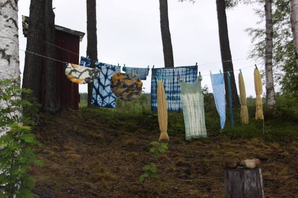 13975429_10153987606028650_5477903571213524684_o