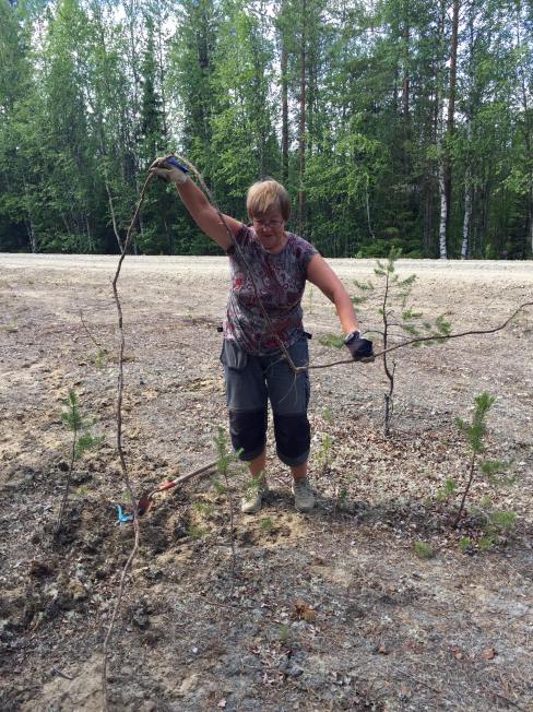 36996354_10155925843113650_962506775238541312_n (kopia)