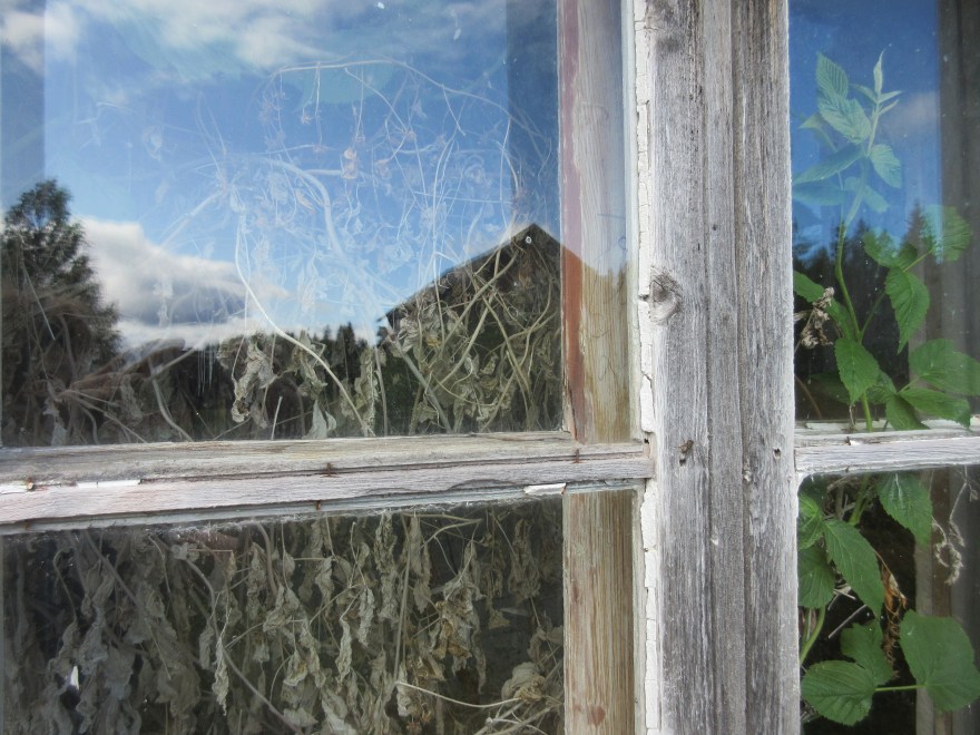 IMG_3066 kopia (kopia)