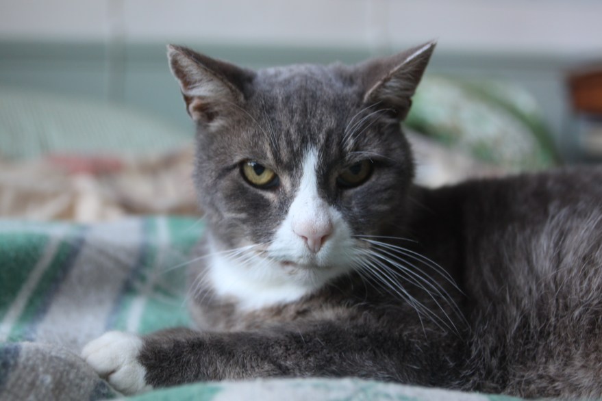 IMG_9302 kopia 2 (kopia)