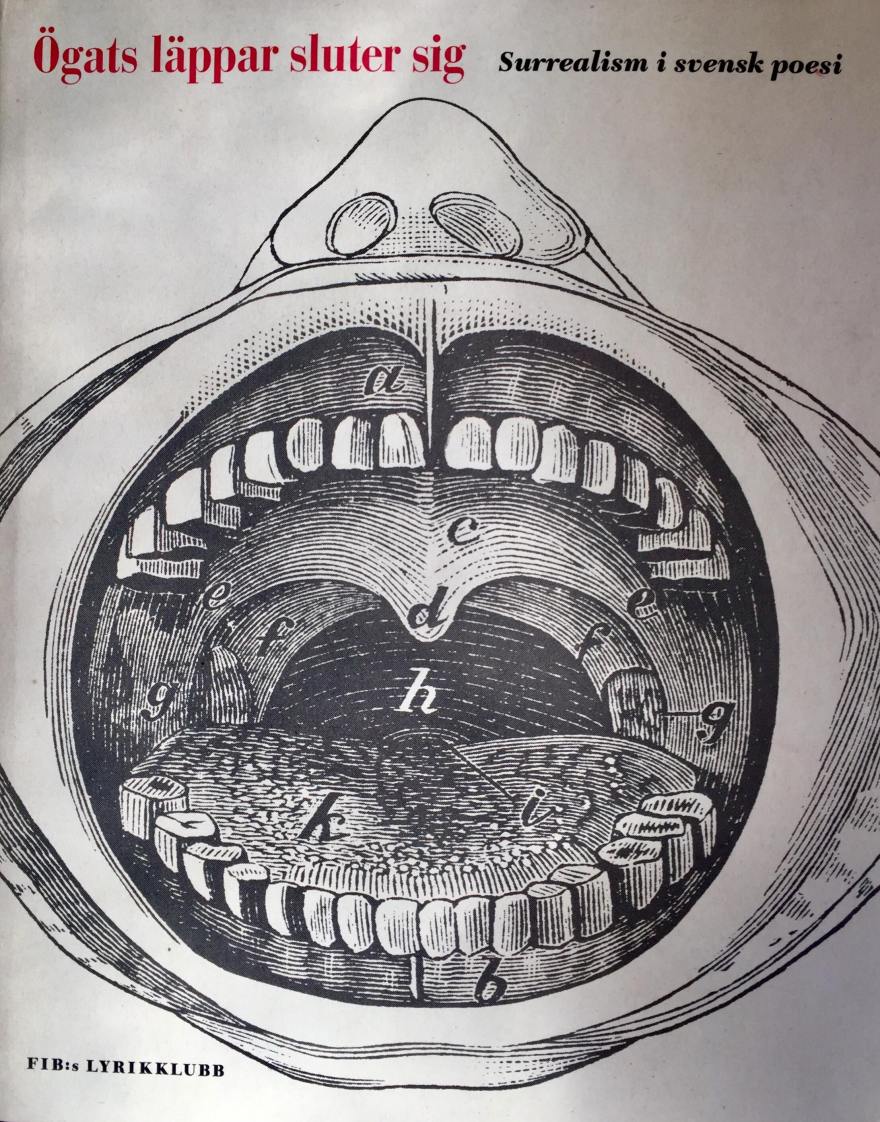 53573933_2055451554754001_975343431758905344_n