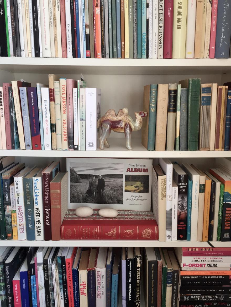 53639437_667005010421867_3919208544372523008_n