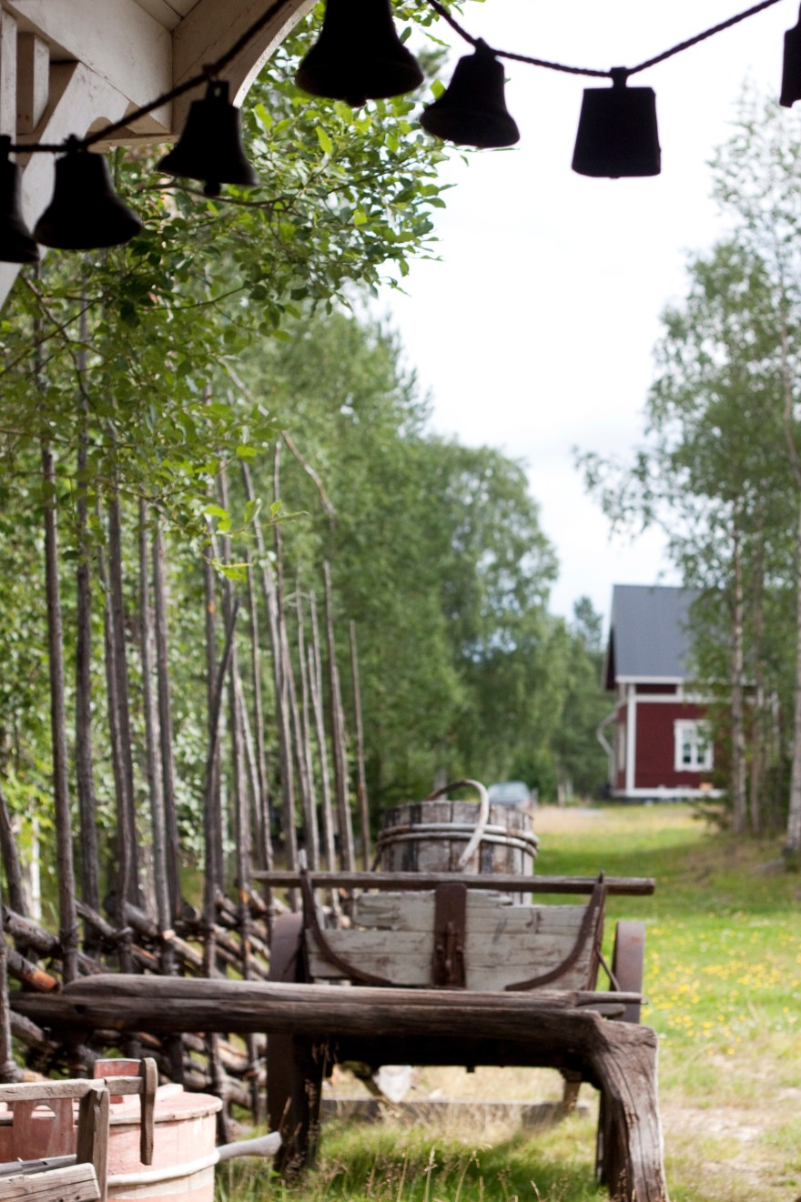 hästklockor2 (kopia)